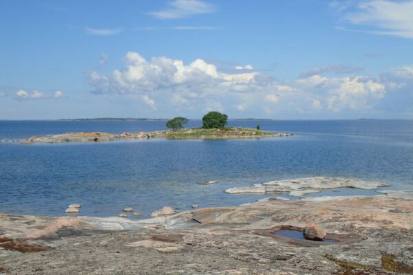 En liten ö med två stora träd i skärgårdshavet